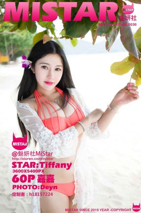 [MiStar魅妍社] 2015.10.07 Vol.036 嘉嘉Tiffany[60+1P96M]