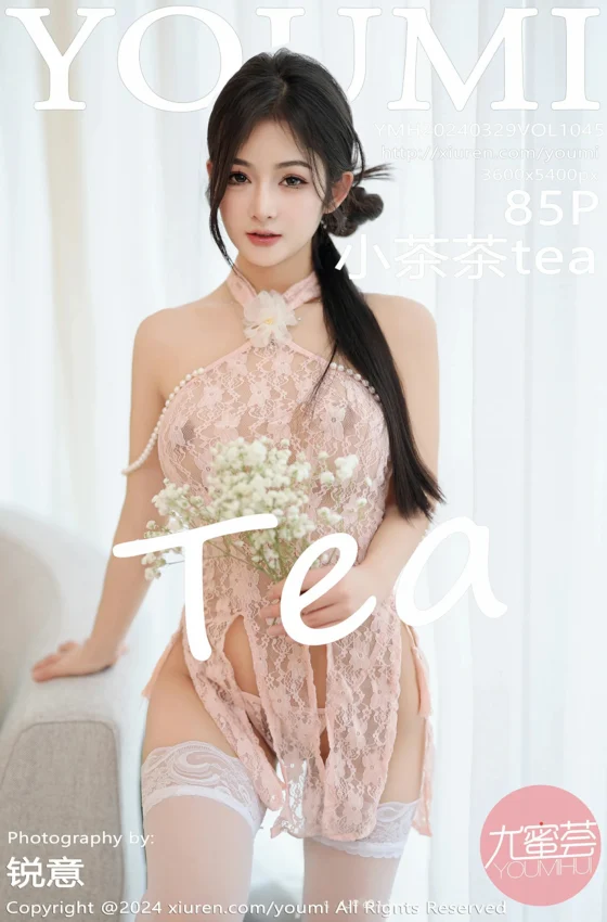 [YOUMI尤蜜荟] 2024.03.29 VOL.1045 小茶茶tea 粉丝轻透蕾丝情趣睡裙 性感写真 [85+1P]