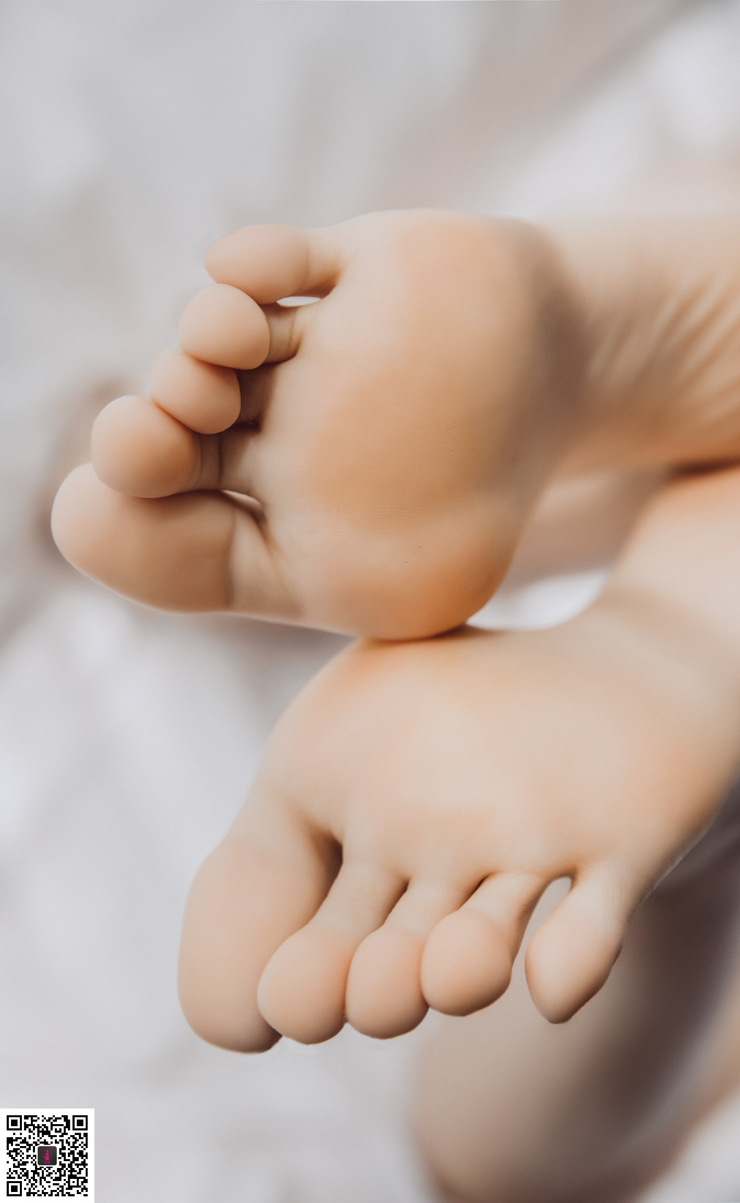 [寻花] 第27期 明月 [39+1P]