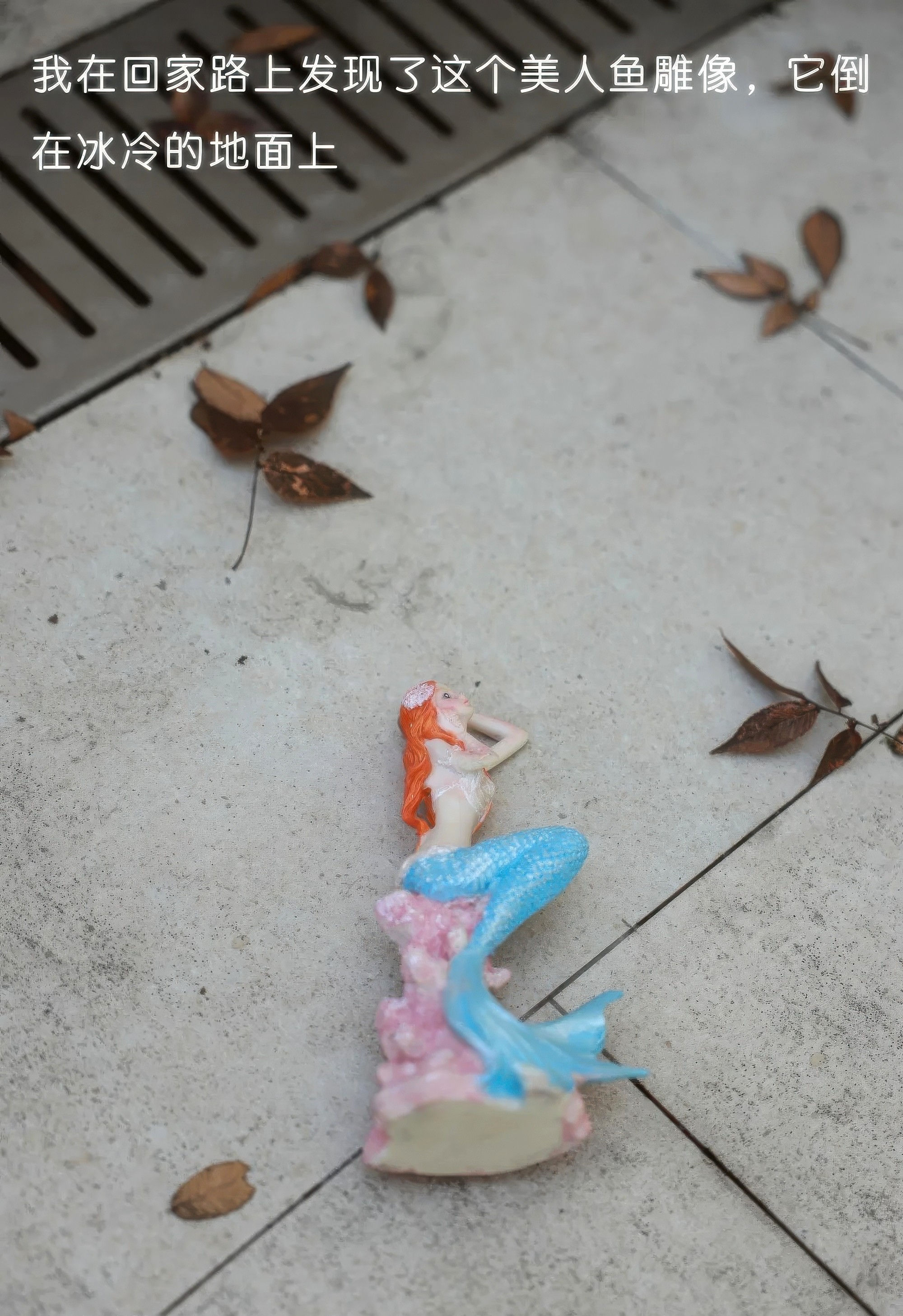 [XiuRen秀人网] 2026.01.30 No.11298 小薯条nienie 性感浅色情趣服饰 大连旅拍写真 [70+1P]