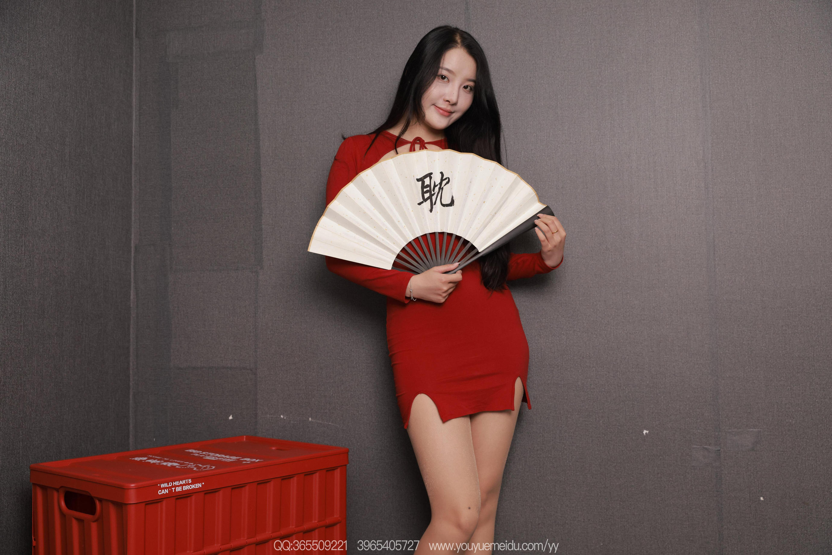 Gallery - [天天意愿] 260807婉萍 红裙肉丝 [91P] - 麻豆夹-美女图片-性感写真 - image 4